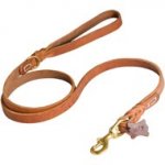 Walking and Training Leather Newfoundland Leash with Comfy Handle