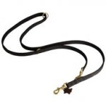 Nylon Newfoundland Leash for Patrolling, Walking and Training