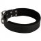 Newfoundland Durable Padded Leather Collar 40 mm