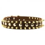 Spiked and Studded Newfoundland Leather Collar
