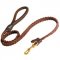 Newfoundland Leather Braided Dog Leash
