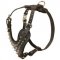 Spiked Leather Newfoundland Harness for Fashionable Walking