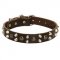 Leather Newfoundland Collar With Studs and Pyramids