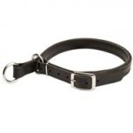 Newfoundland Leather Choke Collar
