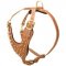 Brass Spiked Leather Newfoundland Harness for Fashion Walking