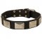Leather Newfoundland Collar with Large Nickel Plates