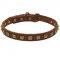 Handcrafted 1 Row Square Studded Leather Newfoundland Collar