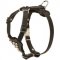 Studded Leather Newfoundland Puppy Harness