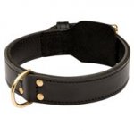Training 2 Ply Leather Newfoundland Collar