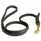 Handcrafted Braided Leather Newfoundland Leash for Walking and Training
