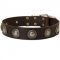 Leather Newfoundland Collar Decorated with Silver Conchos