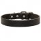 Newfoundland Leather Dog Collar For Pleasant Wearing