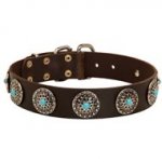 Leather Newfoundland Collar with Blue Stones for Stylish Walking