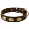 Designer Leather Newfoundland Collar with Oval Plates