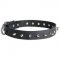 Newfoundland Leather Collar Spiked 30 mm