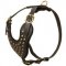 Adjustable Studded Leather Newfoundland Harness for Fashion Walking