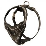 Painted Leather Newfoundland Harness for Walking and Training