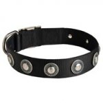 Newfoundland Nylon Dog Collar with Circles Decoration