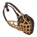 Basket-Like Newfoundland Muzzle Leather