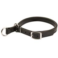 Newfoundland Leather Choke Collar