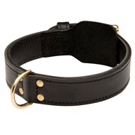 Training 2 Ply Leather Newfoundland Collar