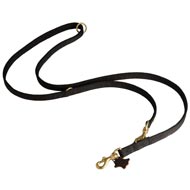 Nylon Newfoundland Leash for Patrolling, Walking and Training