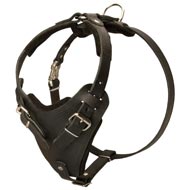 Protection Leather Newfoundland Harness for Attack / Agitation Dog Training