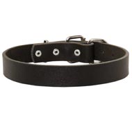 Newfoundland Leather Dog Collar For Pleasant Wearing