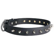Newfoundland Leather Collar Spiked 30 mm