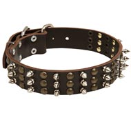 Newfoundland Spikes and Studs Rows Leather Dog Collar