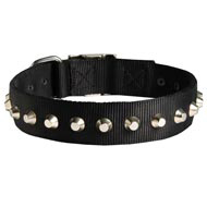 Exclusive Nylon Newfoundland Collar with Awesome Nickel Cones