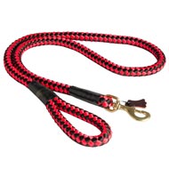 Nylon Cord Newfoundland Leash for Walking and Training