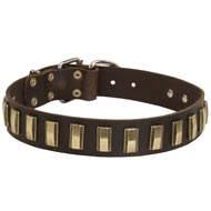 Leather Newfoundland Collar with Awesome Brass Plates