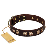 "Woofy Art" FDT Artisan Brown Leather Newfoundland Collar Adorned with Old Bronze-like Studs