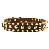 Spiked and Studded Newfoundland Leather Collar