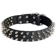 Leather Newfoundland Collar with 3 Rows of Nickel Spikes