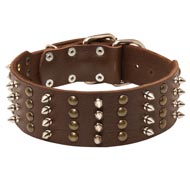 Extra Wide Leather Spiked and Studded Newfoundland Collar