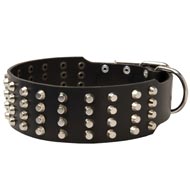Extra Wide 4 Rows Studded Leather Newfoundland Collar