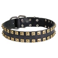 2 Rows Brass Studded Leather Newfoundland Collar for Walking and Training