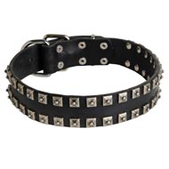 New Leather Newfoundland Collar - Fashion Exclusive Design - "Caterpillar"