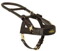 Guide and Assistance Leather Newfoundland Harness