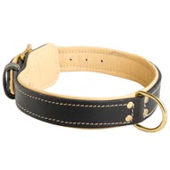 Padded Leather Newfoundland Collar