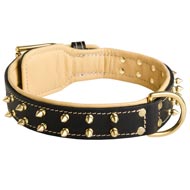 Royal Leather Newfoundland Collar Spiked Padded with Nappa Leather