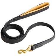 Padded on Handle Leather Newfoundland Leash for Walking and Training
