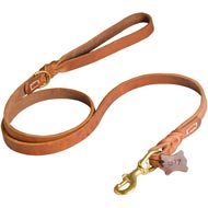 Walking and Training Leather Newfoundland Leash with Comfy Handle