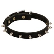 Newfoundland Leather Collar Spiked 3/4 Inch