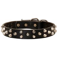 Fancy Design Leather Newfoundland Collar with Nickel Pyramids
