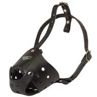 Everyday Leather Newfoundland Muzzle for Training