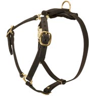 Y-Shaped Leather Newfoundland Harness for Tracking and Training