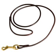 Fully Beneficial Show Leather Newfoundland Leash - Comfort for You and Your Dog